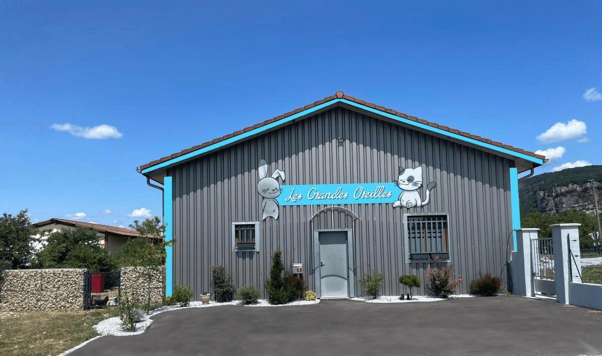 pension